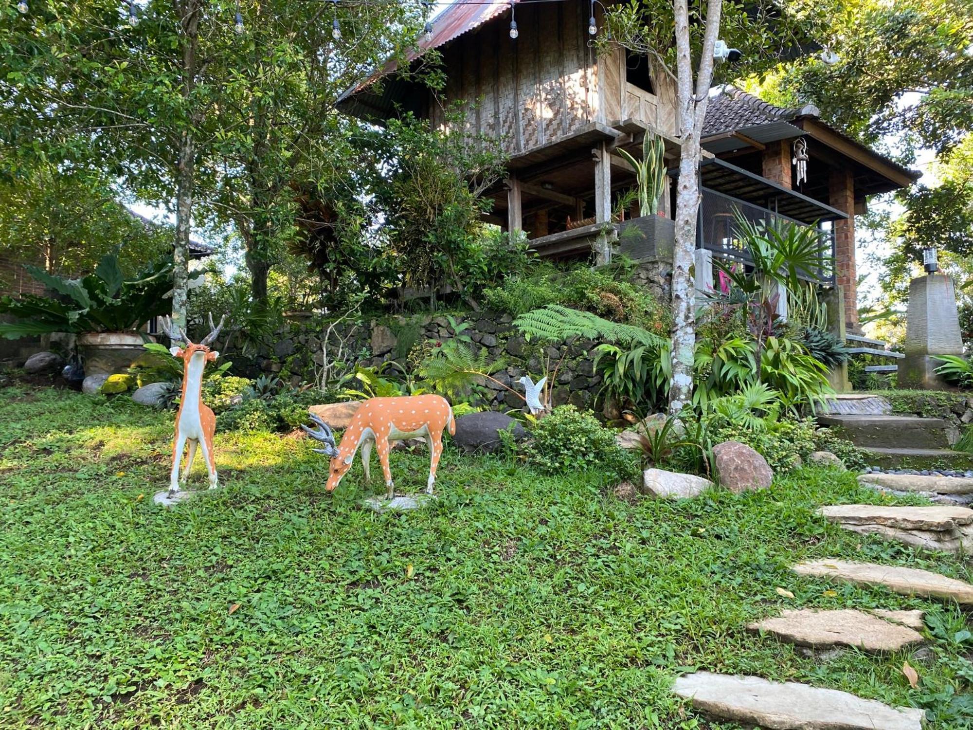 Mayong Bali Villa And Hostel موندوغْ المظهر الخارجي الصورة